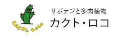 カクト・ロコ　浜松市　都田町　多肉植物　サボテン